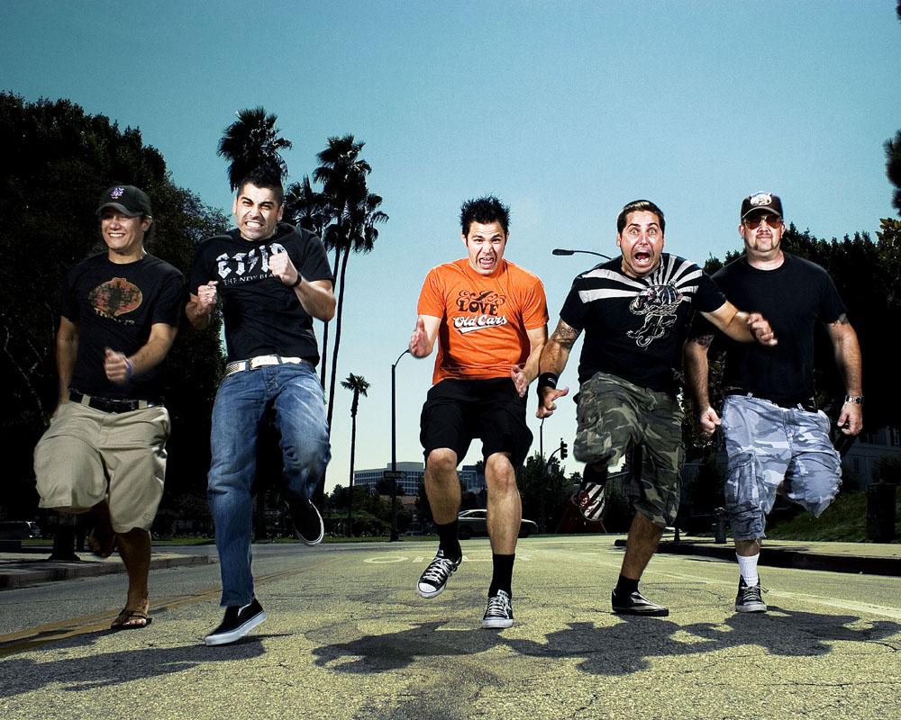 ZEBRAHEAD